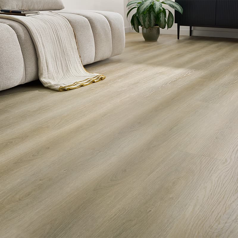 Afirmax BiClick Acoustic  42402 Providence Oak