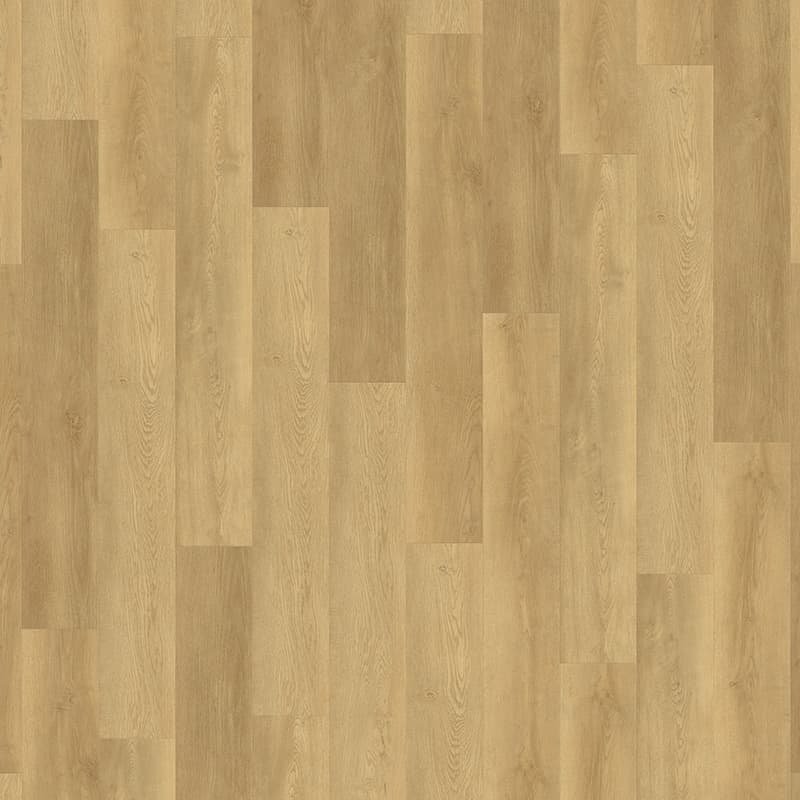 Expona Domestic - Coastal Oak 5875