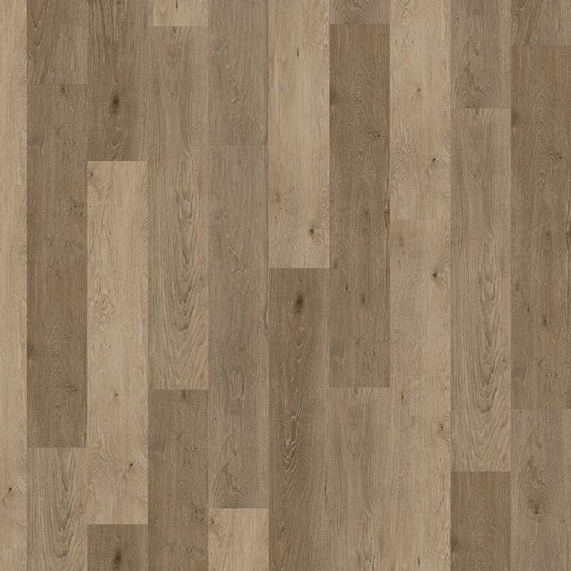 Expona Domestic - Vibrant Oak 5879