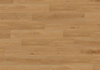 Podlahy Pardubice - CREATION 40 CLIC ACOUSTIC - 1706 AQUINOAH HONEY