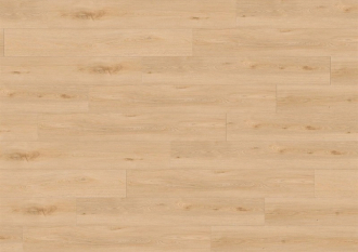 Podlahy Pardubice - CREATION 40 CLIC ACOUSTIC - 1704 AQUINOAH BLOND